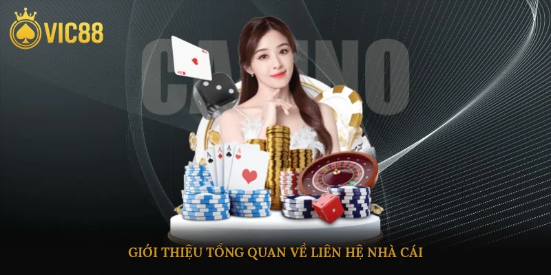 Giới thiệu tổng quan về liên hệ nhà cái