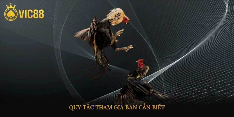 Quy tắc tham gia bạn cần biết